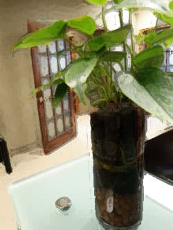 Durham Psychologists gallery image 1