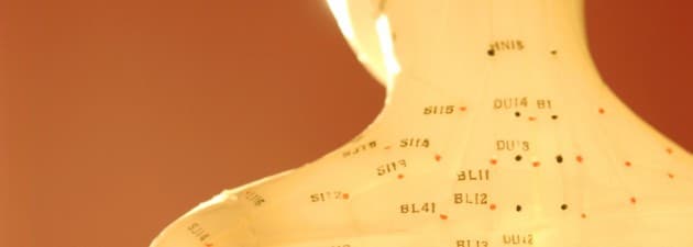 Harmony Acupuncture & Wellness