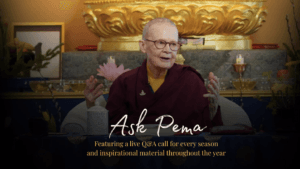 Shambhala Meditation Centre of Kamloops gallery image 1