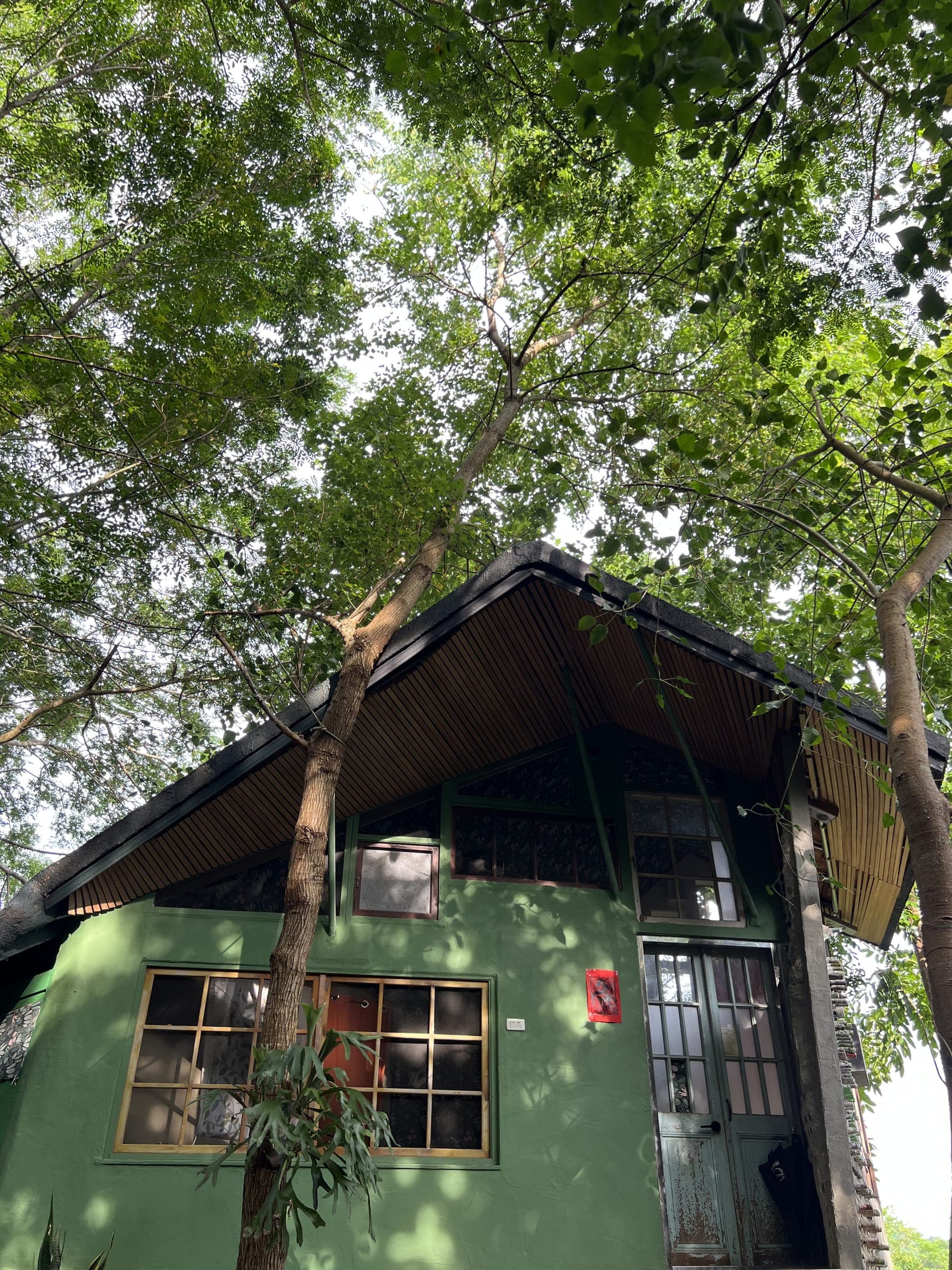 Choosing an English-Accessible Yoga Forest in Taiwan: Lessons from ChaoChaoWo in Yujing