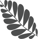 Noggin Nutrition logo