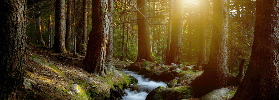 Transformational Therapy Kentville