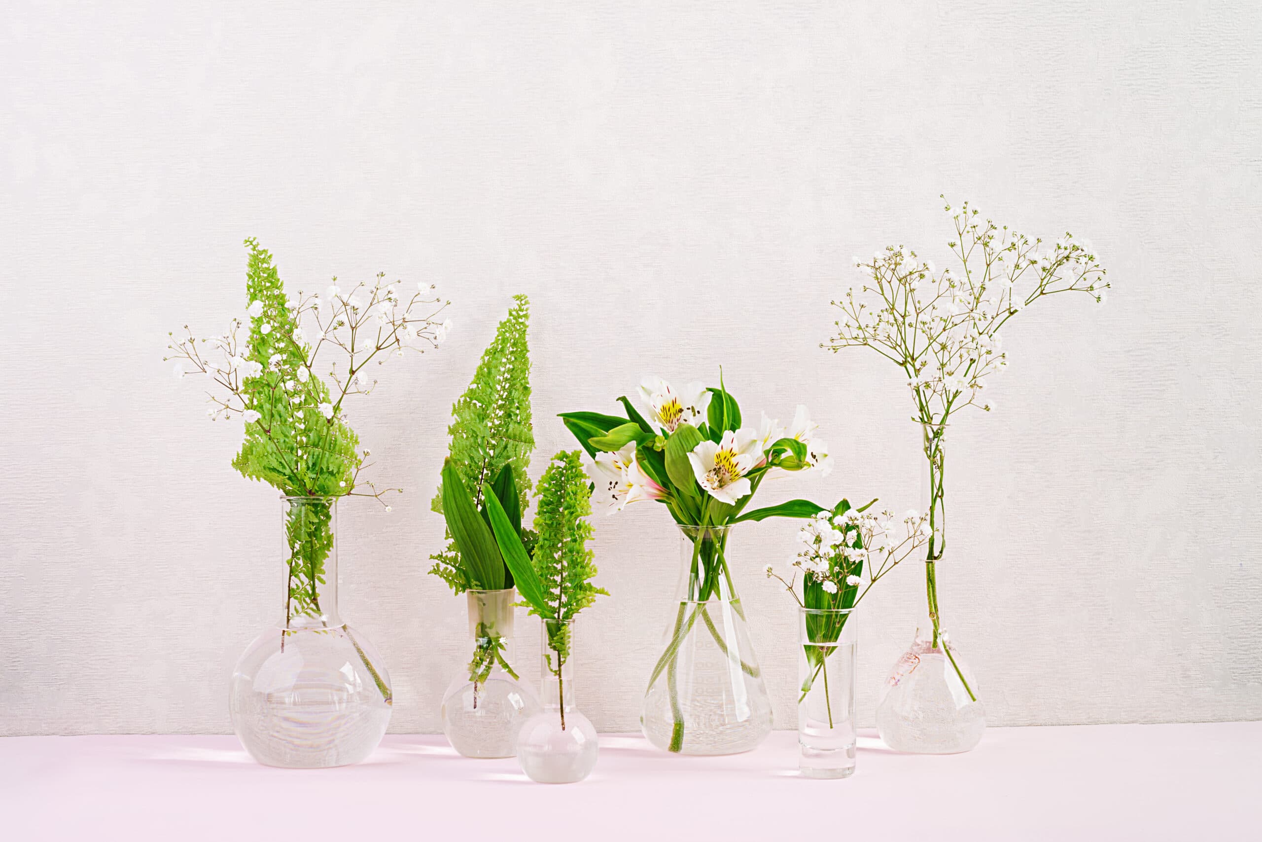 Ardour Wellness gallery image 2