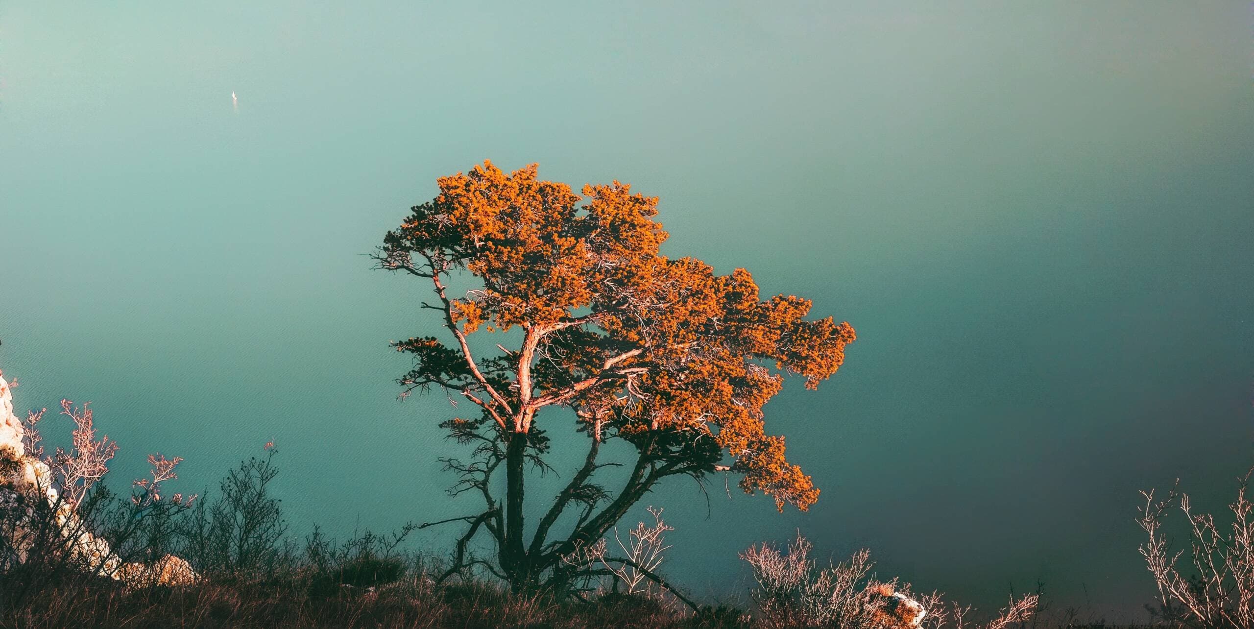 Bodhi Massage Therapy Clinic gallery image 1