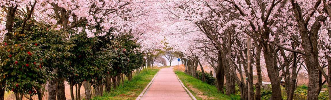 Clinique Naturopathie Francine Locas gallery image 5