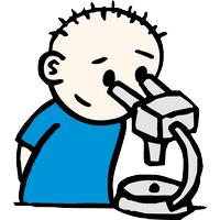 Centre d’entraînement et kinésiologie Hamfit gallery image 2