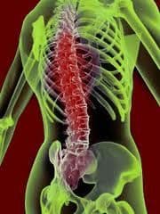 Stefans Holistic Body Work