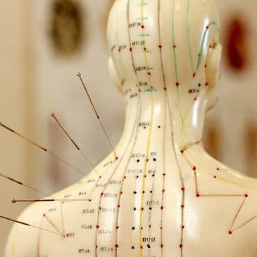 Lina Ma Wellness Clinic gallery image 2