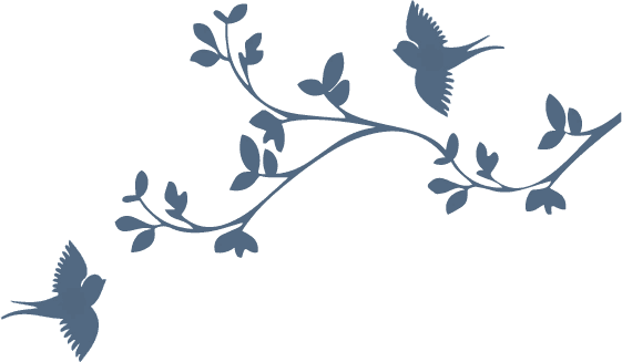 Four-Leaf Clover (FLC Health) Natural Health Clinic gallery image 2