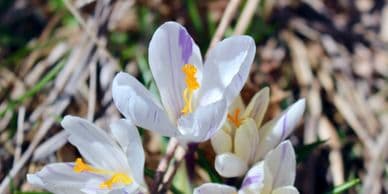 Attune Trauma and Regulation Centre gallery image 2