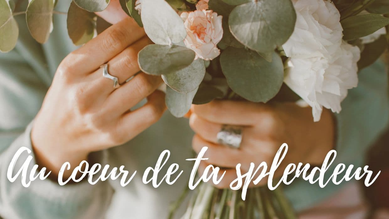 🌿 Annie Poirier ~ Coaching PNL · Relation d’aide sacrée · Mentorat · Soins énergétiques pour une transformation durable