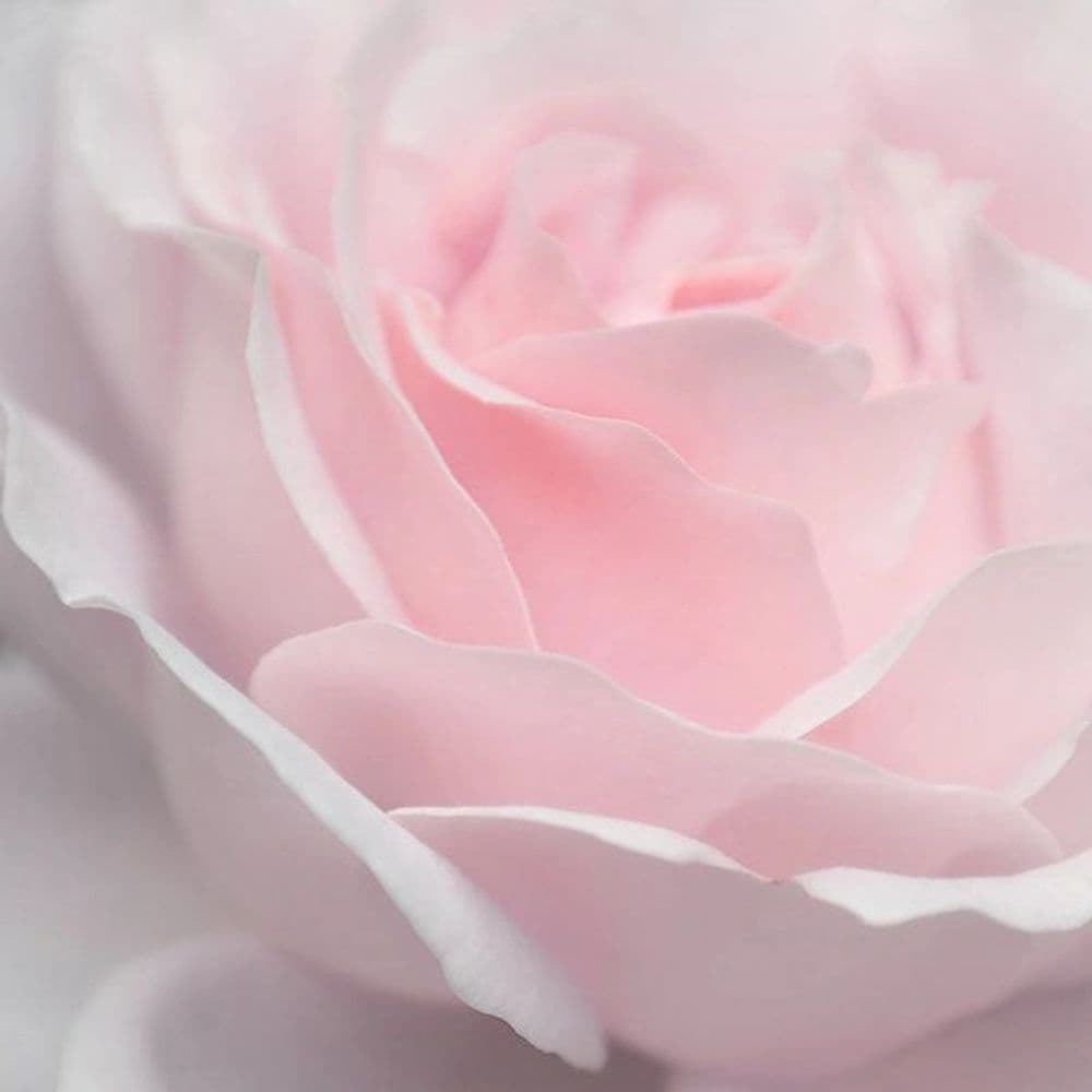 Innersun Psychology gallery image 1