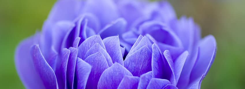 Minda Natural Health & Acupuncture Clinic gallery image 4