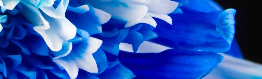 Minda Natural Health & Acupuncture Clinic gallery image 2