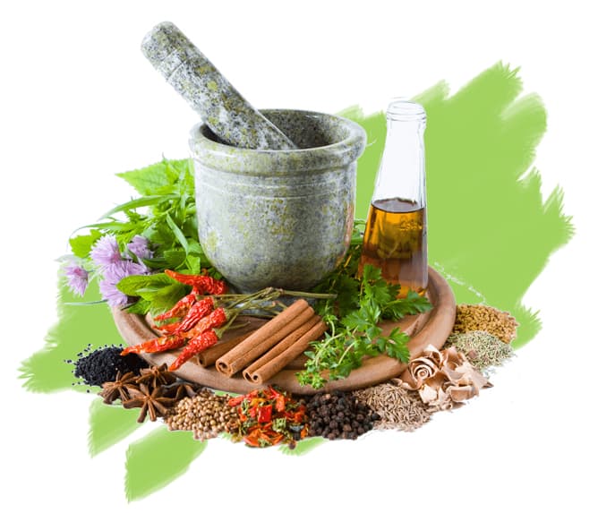 Dr. Mariam Jamous, ND gallery image 2