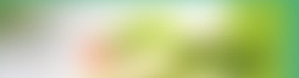 Suzanne Roy, nutritionniste|diététiste gallery image 2