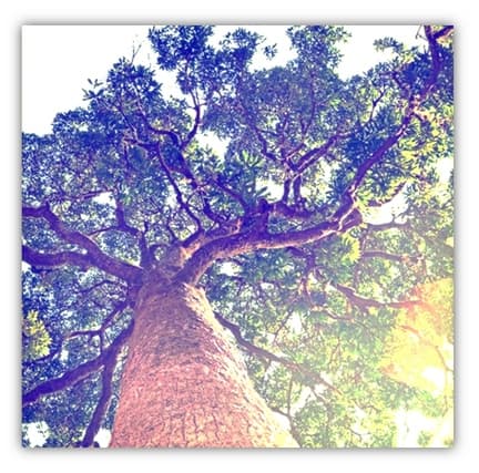 Resumption of briefs gallery image 1