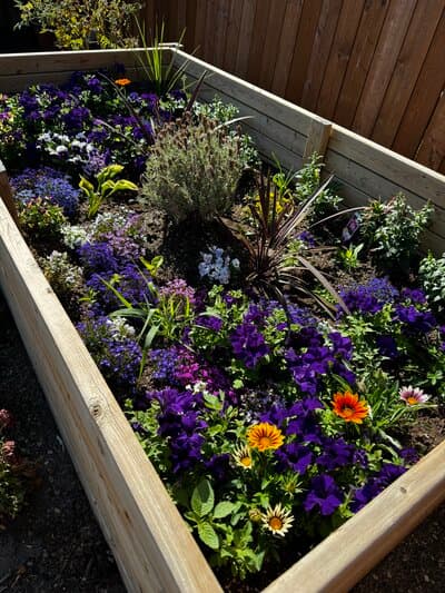 The Women's Resource Centre gallery image 5