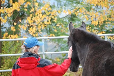 Wisteria Acres Wellness & Retreats gallery image 3