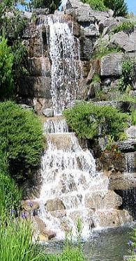 Xu Acupuncture Ottawa gallery image 5