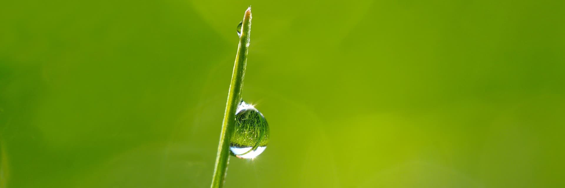 Appleby Wellness Centre gallery image 3
