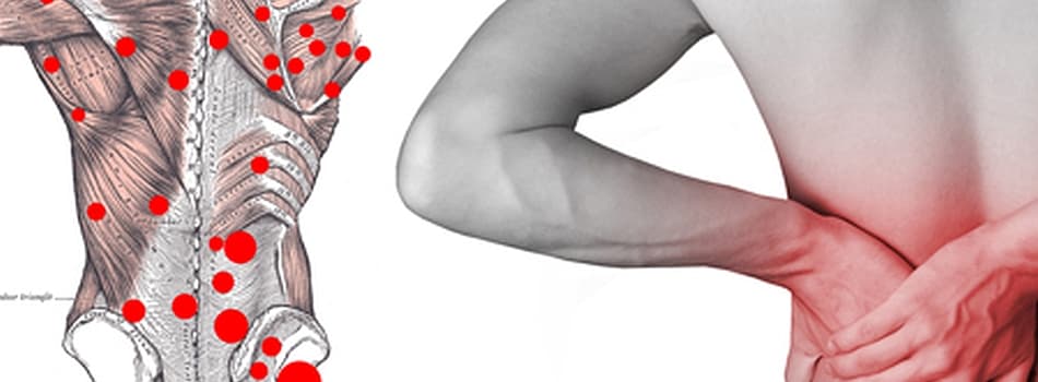 Clinique Acu-Massage TCM gallery image 5