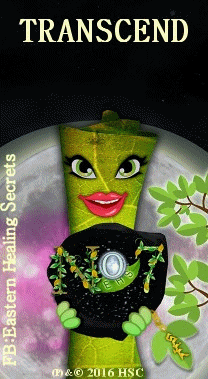 Doctor DNA Mental Health and Life Coaching gallery image 4