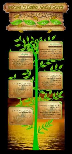 Doctor DNA Mental Health and Life Coaching gallery image 2