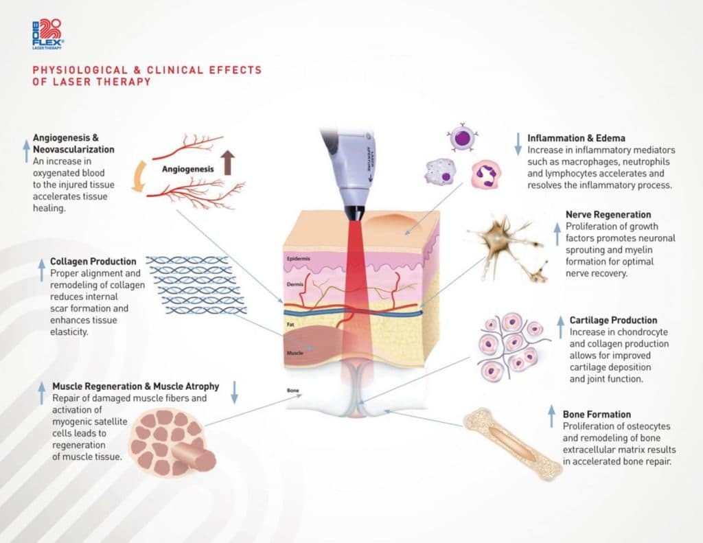 Elements Natural Therapies & Spa gallery image 2