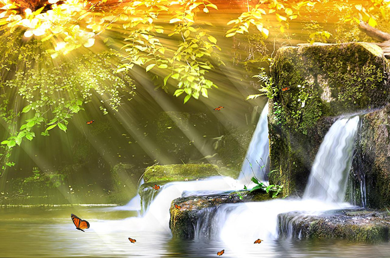 Centre Hygiene Vitalité gallery image 3