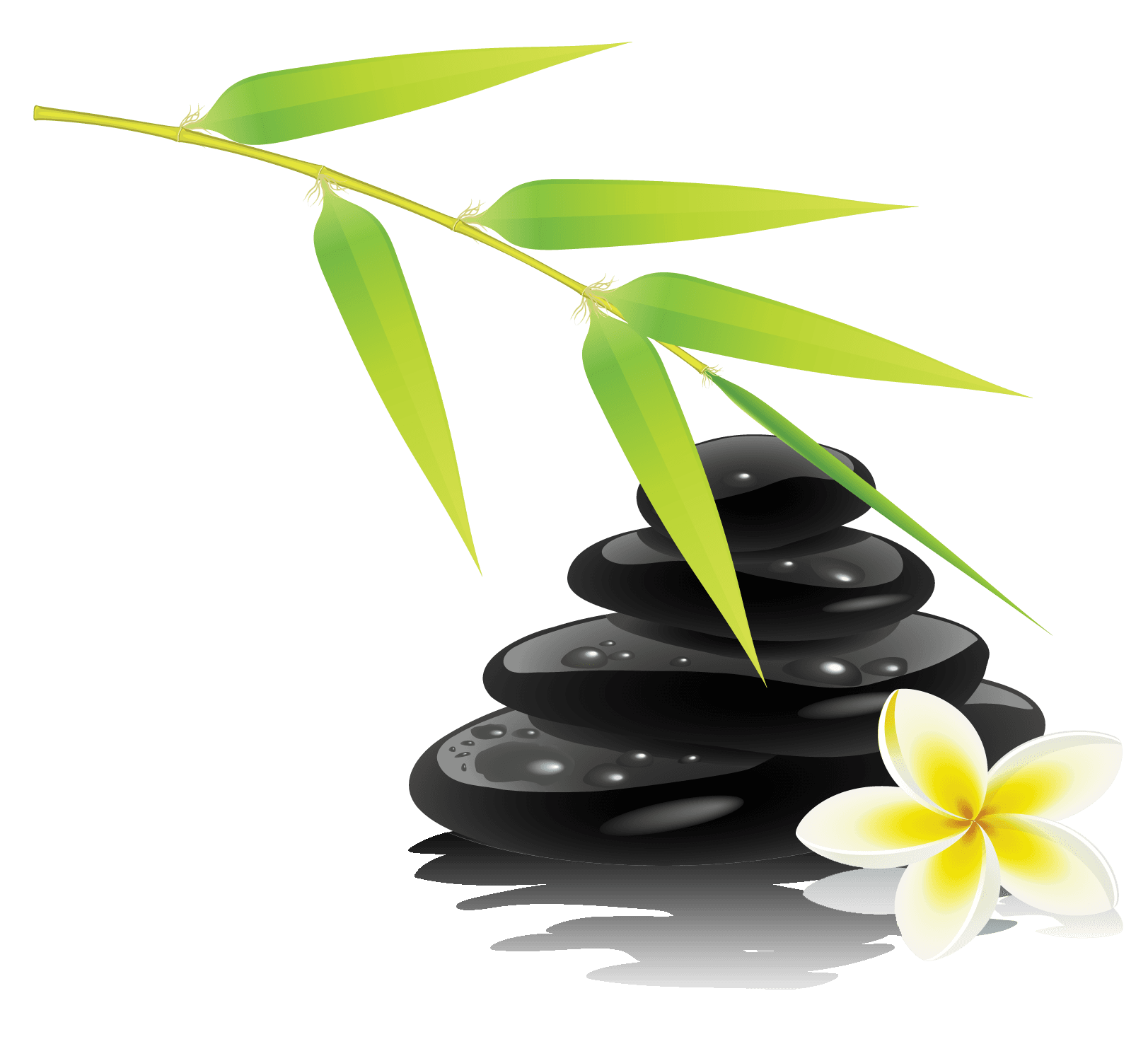 Niagara Falls Massage Therapy & Wellness Centre gallery image 1