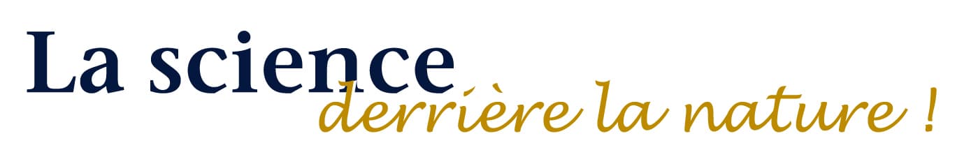 Nobilis Nutrition Inc gallery image 1