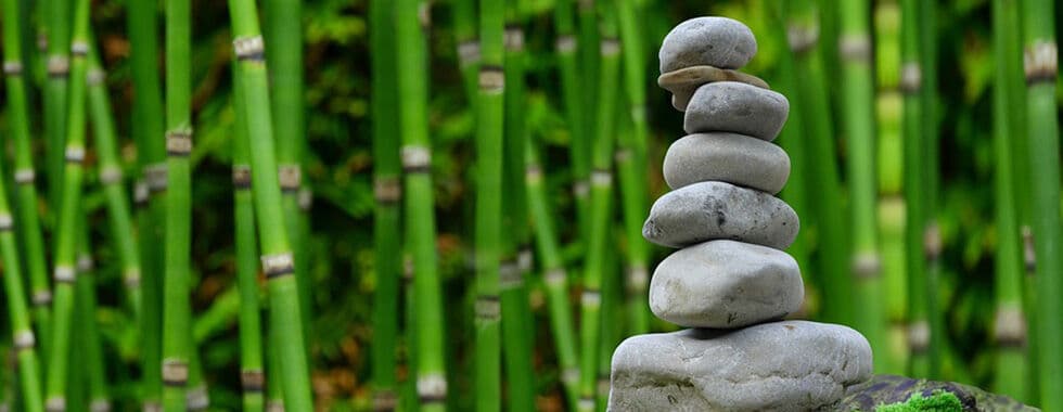 Teena Garcia Counselling Services gallery image 5