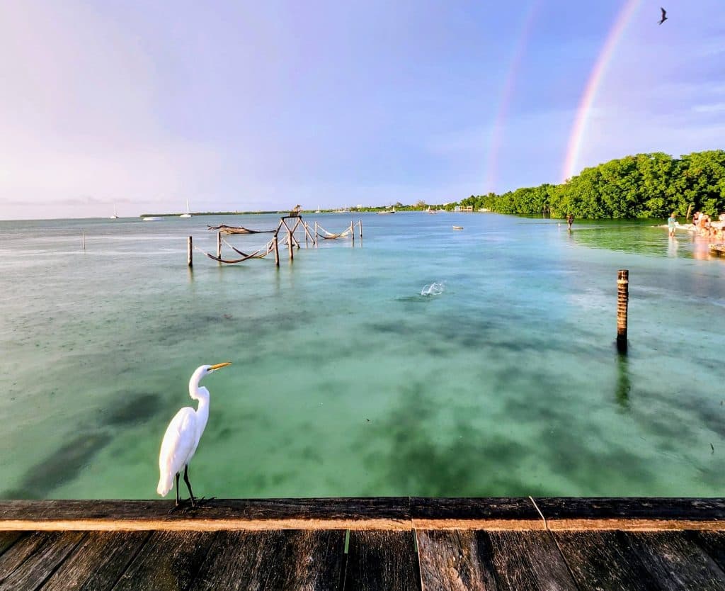 Women’s Wellness Journeys gallery image 2