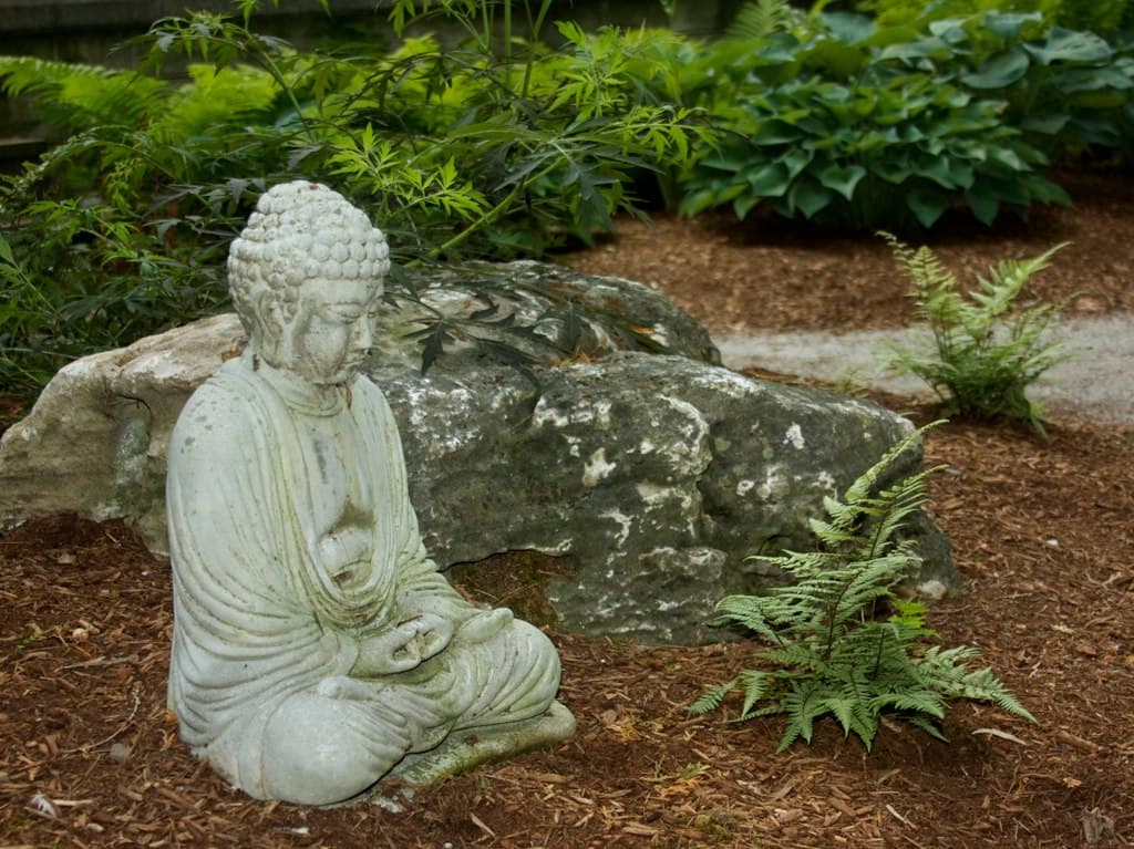 Waterloo Riverview Dharma Centre