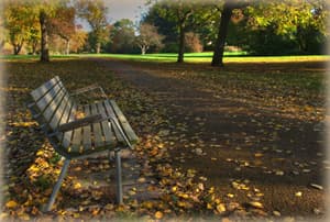 Y R Mind Insite gallery image 2