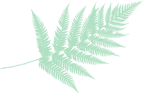 Coach with Rhonda gallery image 3