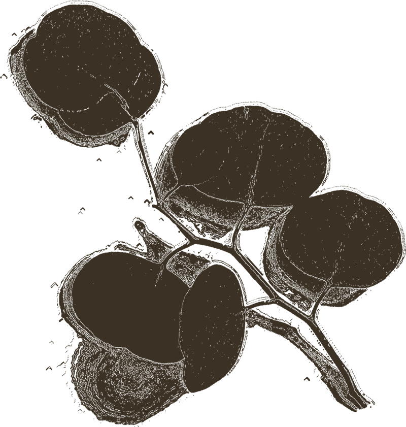 Coach with Rhonda gallery image 5