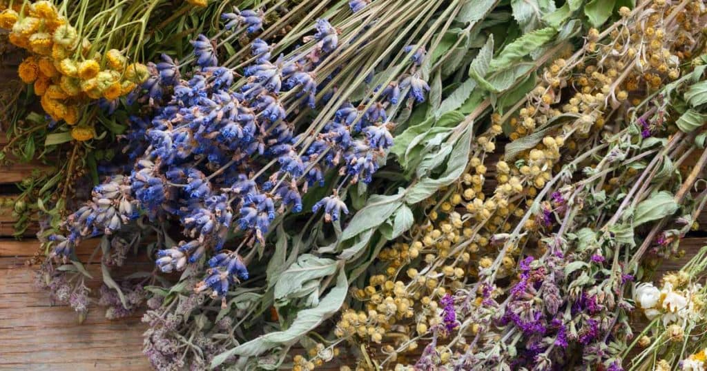 Alchimiste En Herbe gallery image 3