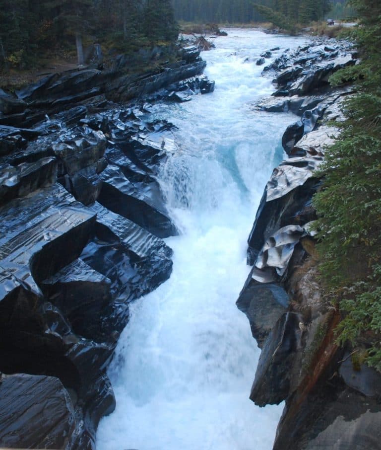 All-In Counselling Collective gallery image 3