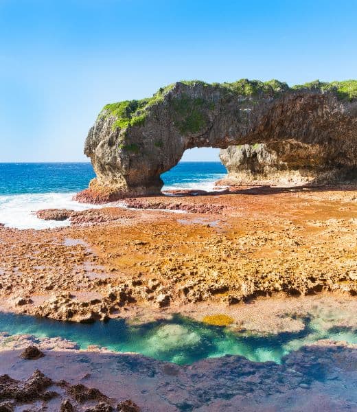 ARCH Psychological Services