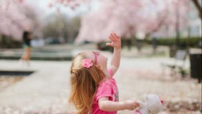 Barrie Pediatric Associates