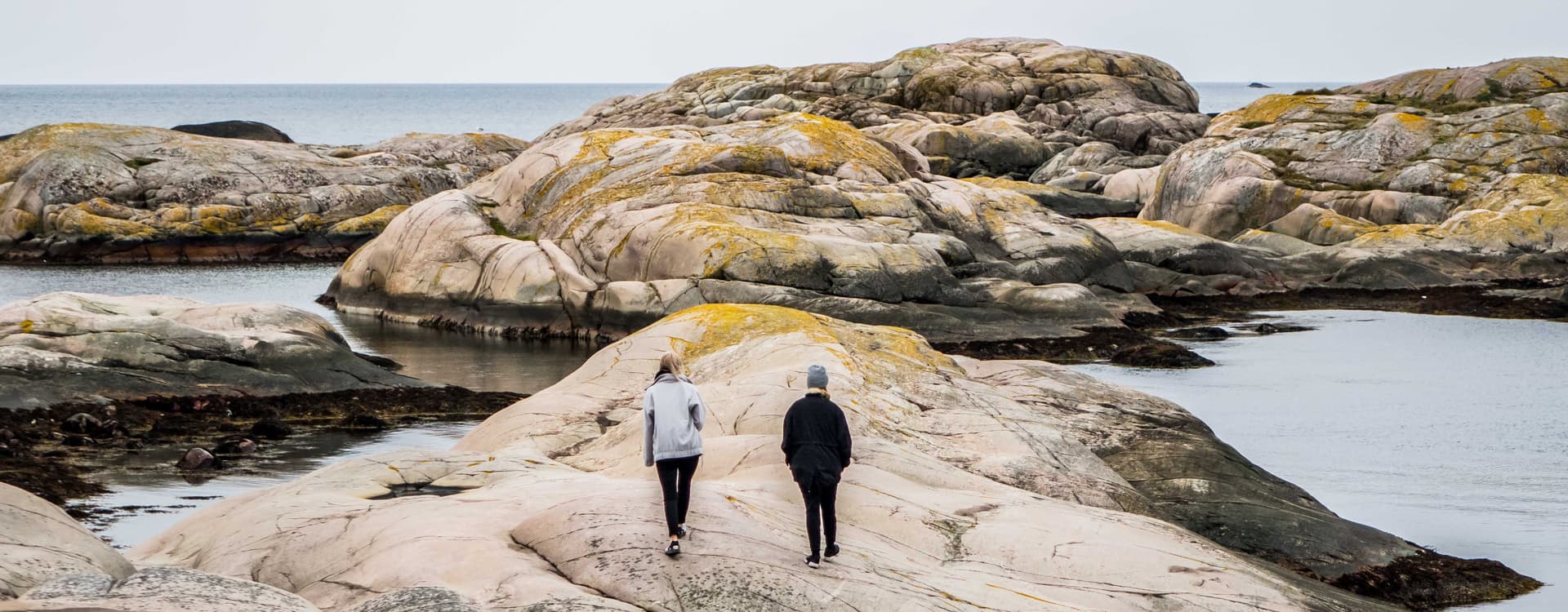 Bird & Associates Psychological Services Inc.