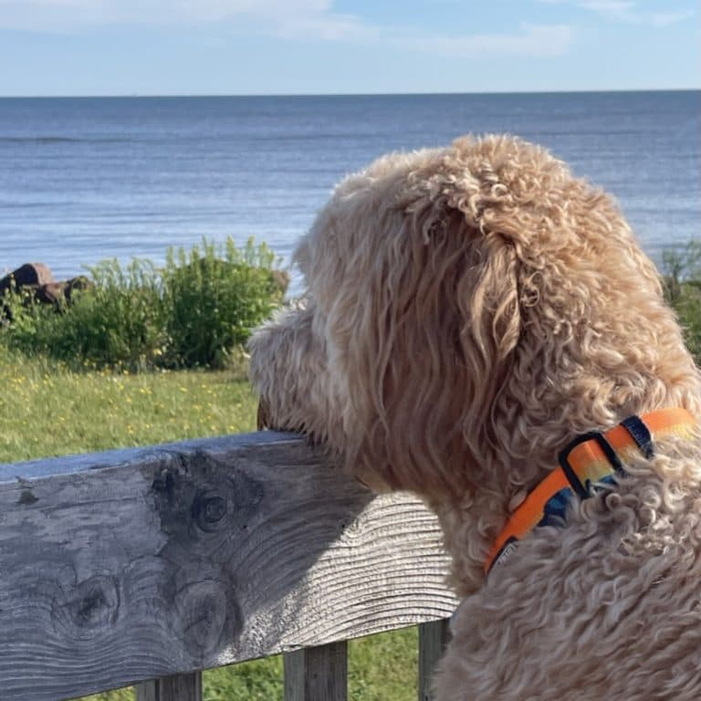 Bird & Associates Psychological Services Inc. gallery image 3