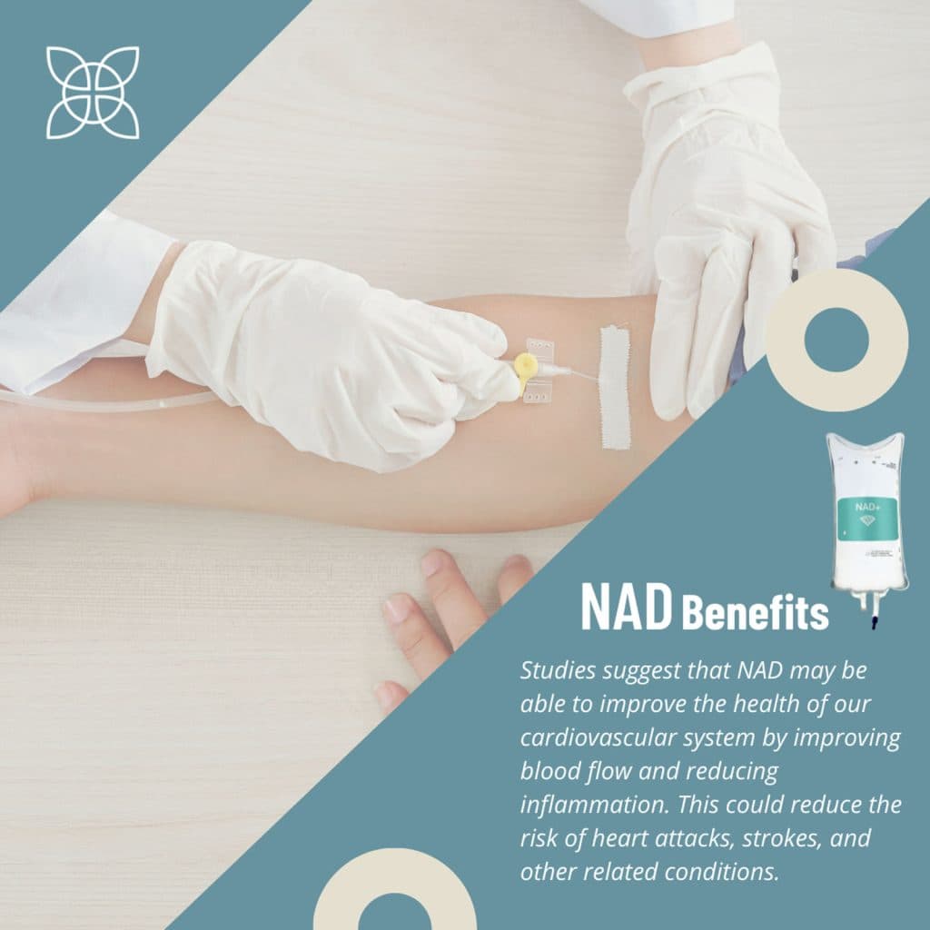 Bishop Massage and Wellness gallery image 2