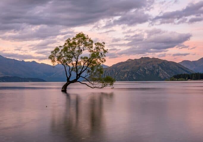 Boyd & Associates Counselling Inc. (Coquitlam Counsellors & Psychologists) gallery image 5