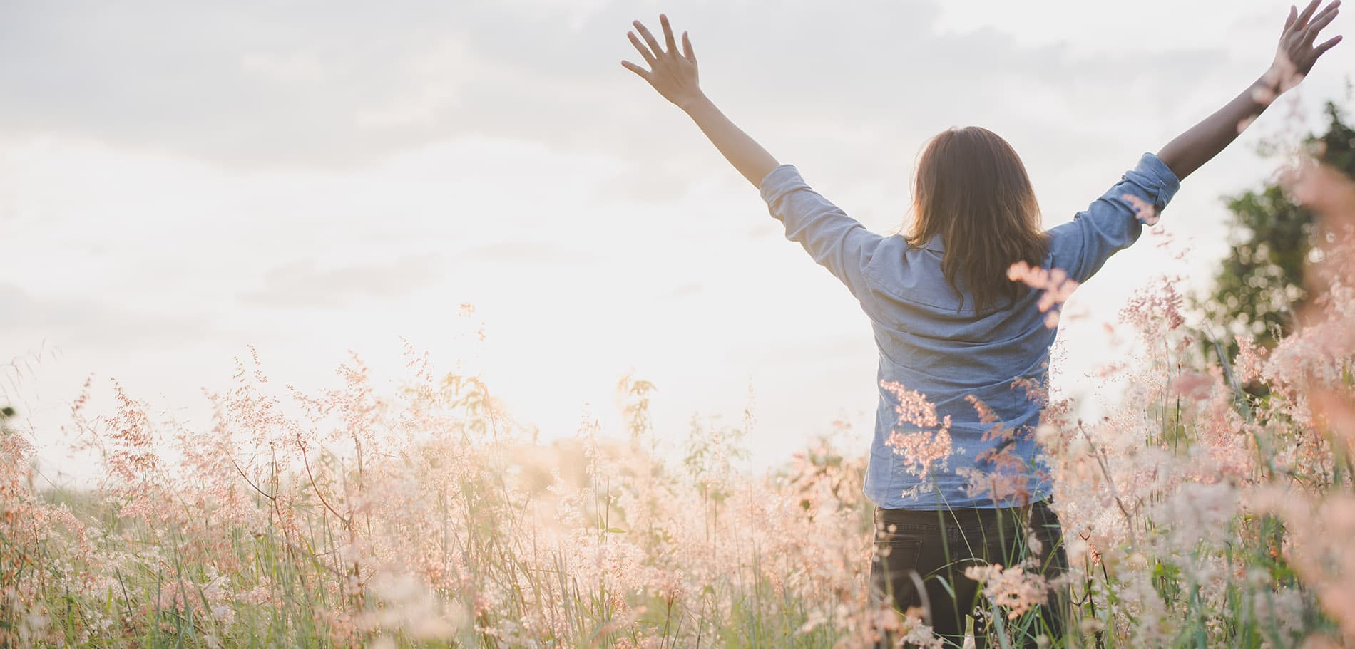 Burlington Psychological and Counselling gallery image 1