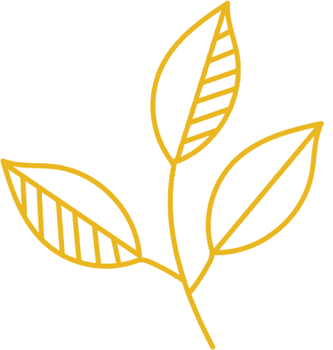 Capria Care Collective gallery image 3