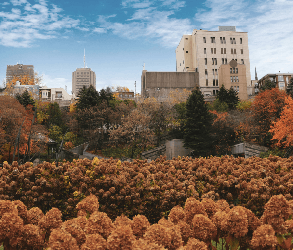 Procrea Fertility gallery image 2