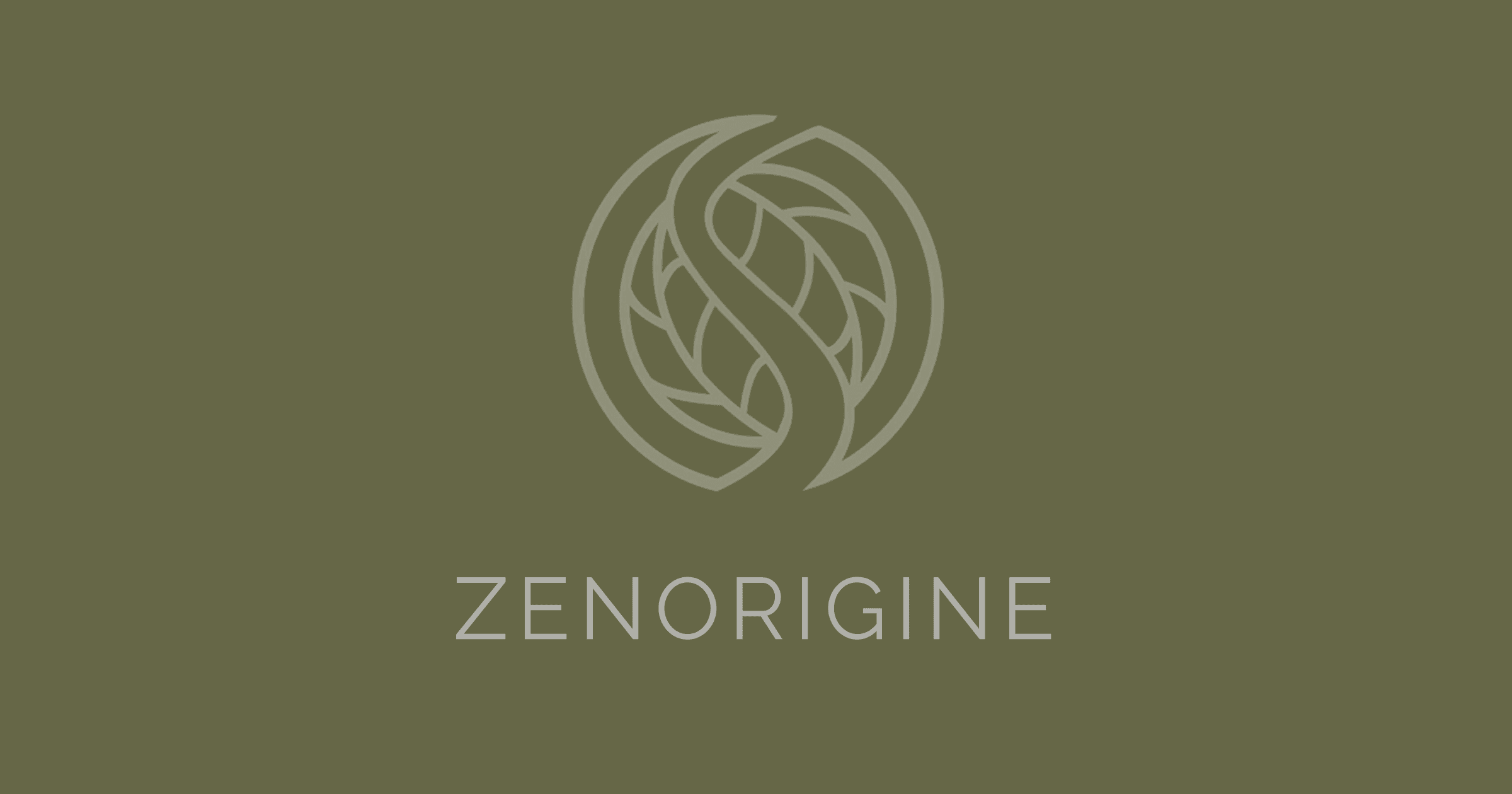 Zen-Origine Massothérapie, Yoga, Pilates & Gym